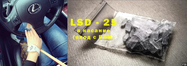 прущие грибы Белокуриха