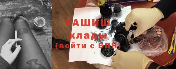 прущие грибы Белокуриха