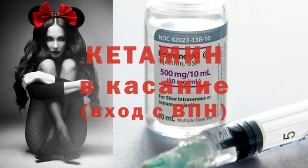 прущие грибы Белокуриха