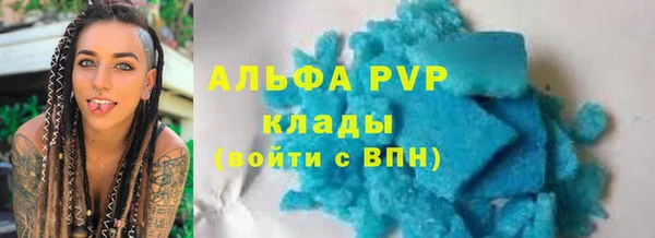 прущие грибы Белокуриха
