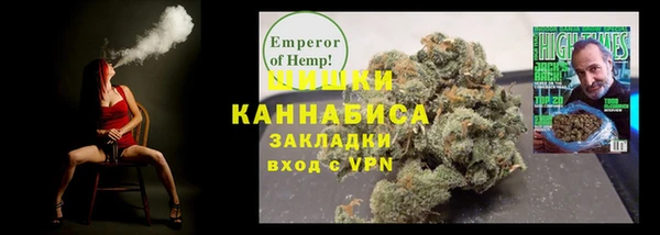 прущие грибы Белокуриха