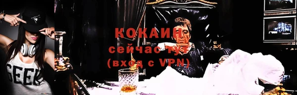 прущие грибы Белокуриха