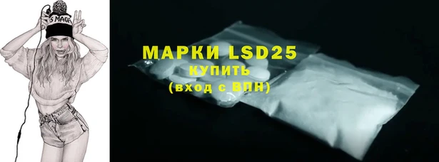 прущие грибы Белокуриха