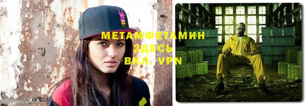 прущие грибы Белокуриха