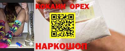 стафф Дубна
