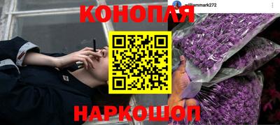 стафф Дубна