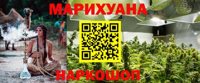 стафф Дубна