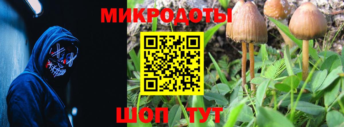 Псилоцибиновые грибы MAGIC MUSHROOMS  Галлюциногенные грибы Psilocybe  Вход с VPN  Малоярославец 